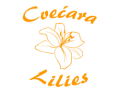 /posao/logo/cvecara lilies.png